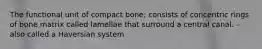 The functional unit of compact bone; consists of concentric rings of bone matrix called lamellae that surround a central canal. - also called a Haversian system