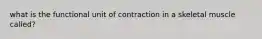 what is the functional unit of contraction in a skeletal muscle called?