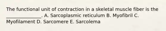 The functional unit of contraction in a skeletal muscle fiber is the _______________. A. Sarcoplasmic reticulum B. Myofibril C. Myofilament D. Sarcomere E. Sarcolema