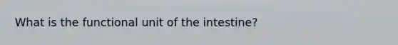 What is the functional unit of the intestine?