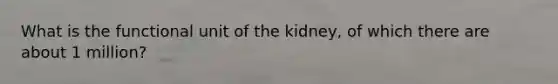 What is the functional unit of the kidney, of which there are about 1 million?