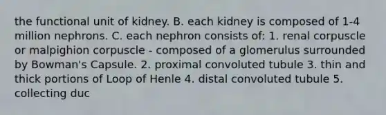 the functional unit of kidney. B. each kidney is composed of 1-4 million nephrons. C. each nephron consists of: 1. renal corpuscle or malpighion corpuscle - composed of a glomerulus surrounded by Bowman's Capsule. 2. proximal convoluted tubule 3. thin and thick portions of Loop of Henle 4. distal convoluted tubule 5. collecting duc