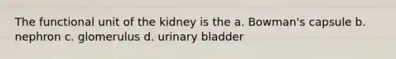 The functional unit of the kidney is the a. Bowman's capsule b. nephron c. glomerulus d. <a href='https://www.questionai.com/knowledge/kb9SdfFdD9-urinary-bladder' class='anchor-knowledge'>urinary bladder</a>