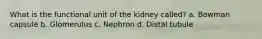 What is the functional unit of the kidney called? a. Bowman capsule b. Glomerulus c. Nephron d. Distal tubule