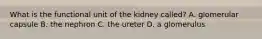 What is the functional unit of the kidney​ called? A. glomerular capsule B. the nephron C. the ureter D. a glomerulus
