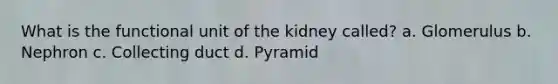 What is the functional unit of the kidney called? a. Glomerulus b. Nephron c. Collecting duct d. Pyramid