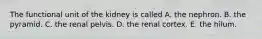 The functional unit of the kidney is called A. the nephron. B. the pyramid. C. the renal pelvis. D. the renal cortex. E. the hilum.