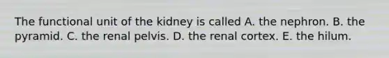 The functional unit of the kidney is called A. the nephron. B. the pyramid. C. the renal pelvis. D. the renal cortex. E. the hilum.