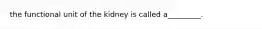 the functional unit of the kidney is called a_________.