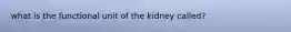 what is the functional unit of the kidney called?