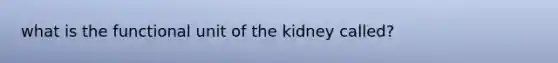 what is the functional unit of the kidney called?