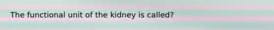 The functional unit of the kidney is called?