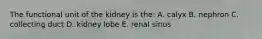 The functional unit of the kidney is the: A. calyx B. nephron C. collecting duct D. kidney lobe E. renal sinus