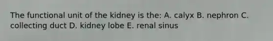 The functional unit of the kidney is the: A. calyx B. nephron C. collecting duct D. kidney lobe E. renal sinus