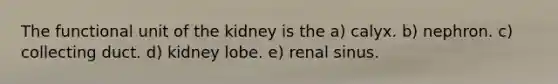 The functional unit of the kidney is the a) calyx. b) nephron. c) collecting duct. d) kidney lobe. e) renal sinus.