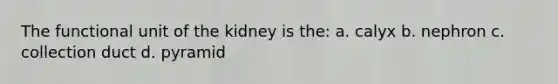 The functional unit of the kidney is the: a. calyx b. nephron c. collection duct d. pyramid