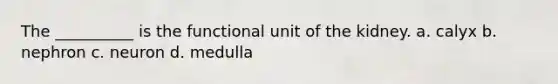 The __________ is the functional unit of the kidney. a. calyx b. nephron c. neuron d. medulla