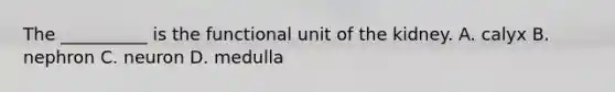 The __________ is the functional unit of the kidney. A. calyx B. nephron C. neuron D. medulla