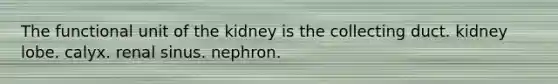 The functional unit of the kidney is the collecting duct. kidney lobe. calyx. renal sinus. nephron.