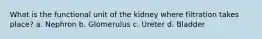 What is the functional unit of the kidney where filtration takes place? a. Nephron b. Glomerulus c. Ureter d. Bladder