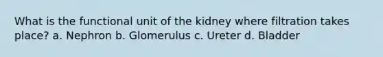 What is the functional unit of the kidney where filtration takes place? a. Nephron b. Glomerulus c. Ureter d. Bladder