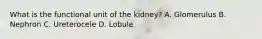 What is the functional unit of the kidney? A. Glomerulus B. Nephron C. Ureterocele D. Lobule