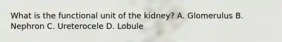 What is the functional unit of the kidney? A. Glomerulus B. Nephron C. Ureterocele D. Lobule