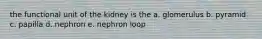 the functional unit of the kidney is the a. glomerulus b. pyramid c. papilla d. nephron e. nephron loop