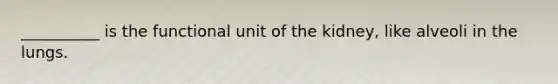 __________ is the functional unit of the kidney, like alveoli in the lungs.