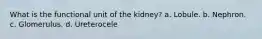 What is the functional unit of the kidney? a. Lobule. b. Nephron. c. Glomerulus. d. Ureterocele