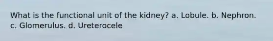 What is the functional unit of the kidney? a. Lobule. b. Nephron. c. Glomerulus. d. Ureterocele