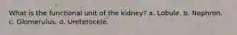 What is the functional unit of the kidney? a. Lobule. b. Nephron. c. Glomerulus. d. Ureterocele.