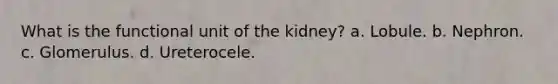 What is the functional unit of the kidney? a. Lobule. b. Nephron. c. Glomerulus. d. Ureterocele.