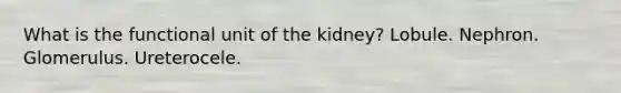 What is the functional unit of the kidney? Lobule. Nephron. Glomerulus. Ureterocele.