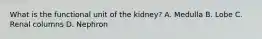 What is the functional unit of the kidney? A. Medulla B. Lobe C. Renal columns D. Nephron