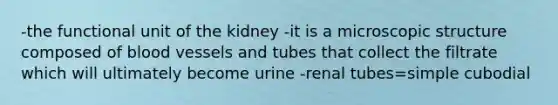 -the functional unit of the kidney -it is a microscopic structure composed of blood vessels and tubes that collect the filtrate which will ultimately become urine -renal tubes=simple cubodial