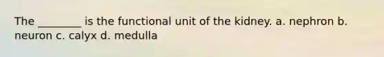 The ________ is the functional unit of the kidney. a. nephron b. neuron c. calyx d. medulla