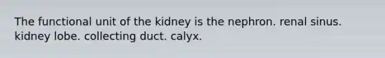 The functional unit of the kidney is the nephron. renal sinus. kidney lobe. collecting duct. calyx.