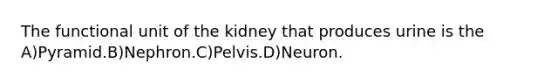 The functional unit of the kidney that produces urine is the A)Pyramid.B)Nephron.C)Pelvis.D)Neuron.