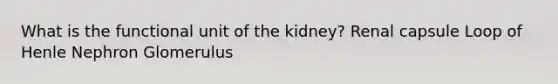 What is the functional unit of the kidney? Renal capsule Loop of Henle Nephron Glomerulus