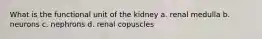 What is the functional unit of the kidney a. renal medulla b. neurons c. nephrons d. renal copuscles