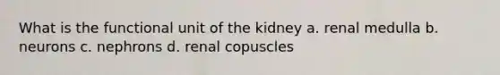 What is the functional unit of the kidney a. renal medulla b. neurons c. nephrons d. renal copuscles