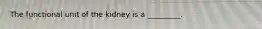The functional unit of the kidney is a _________.