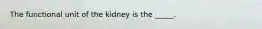 The functional unit of the kidney is the _____.