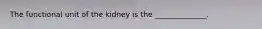 The functional unit of the kidney is the ______________.