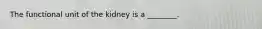 The functional unit of the kidney is a ________.