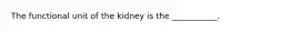 The functional unit of the kidney is the ___________.