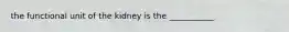 the functional unit of the kidney is the ___________