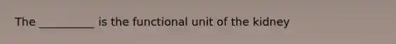 The __________ is the functional unit of the kidney