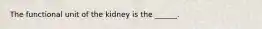 The functional unit of the kidney is the ______.